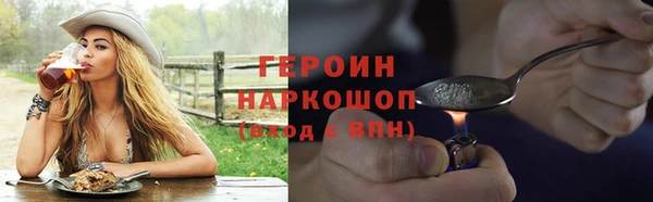хмурый Белокуриха