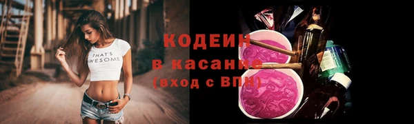 хмурый Белокуриха