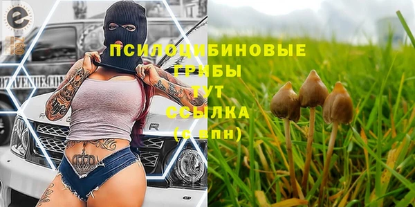 хмурый Белокуриха