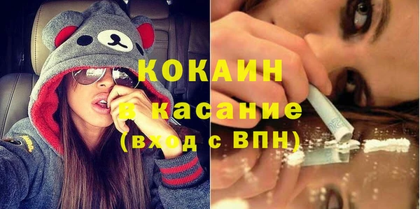 хмурый Белокуриха