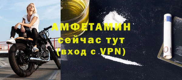 хмурый Белокуриха