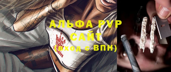 хмурый Белокуриха
