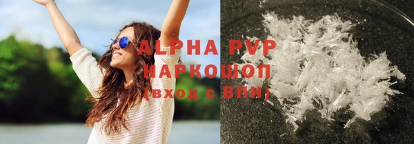 хмурый Белокуриха